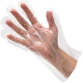 Allpoints Disposable Gloves, Plastic, One Size Fits All, Clear 1331023